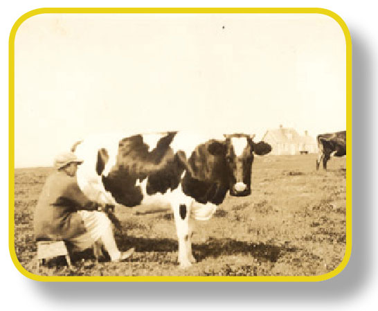 Melk puur natuur?